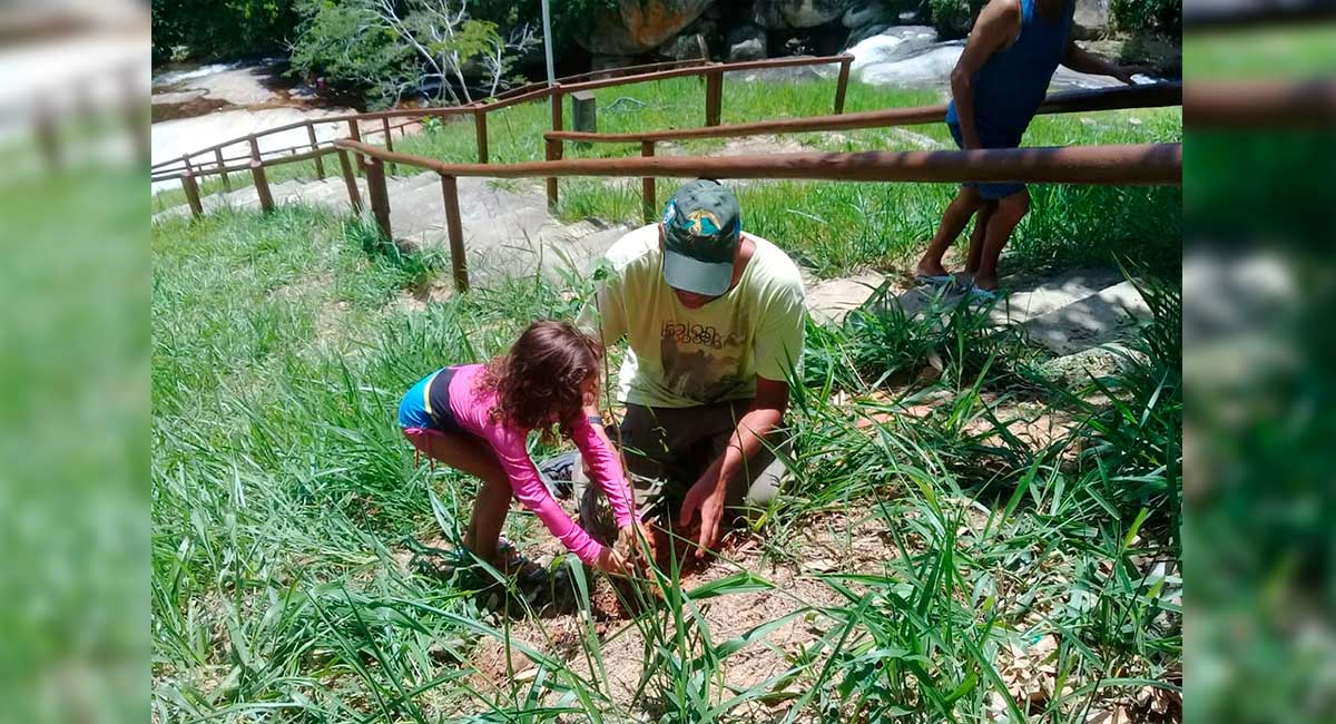 Ação conjunta promove plantio de mudas no entorno da Cachoeira do Escorrega