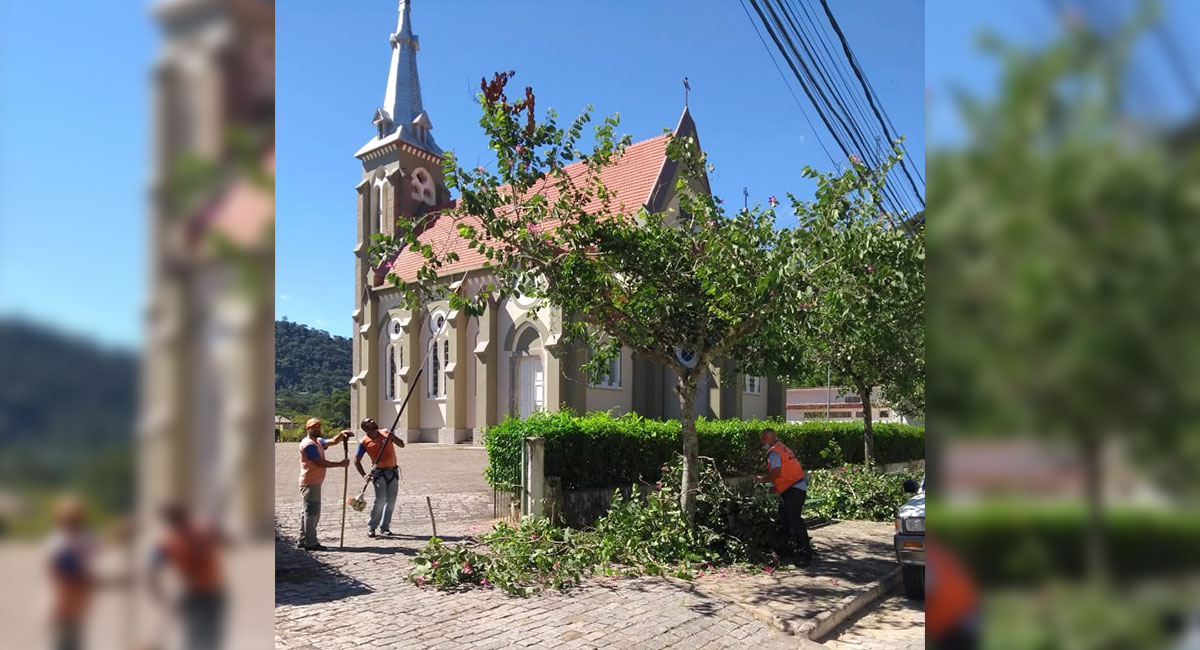 Prefeitura realiza poda de árvores no Centro da cidade