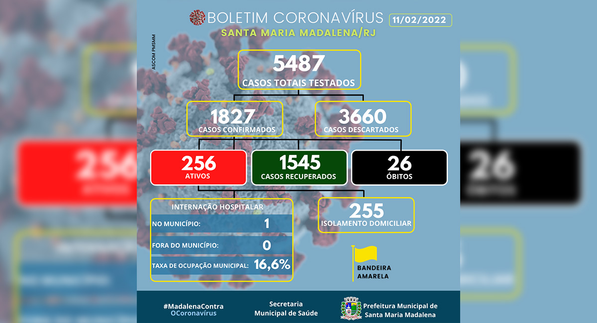 Boletim COVID-19 atualizado em 11 de fevereiro de 2022
