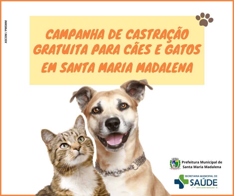 Campanha de castração gratuita de cães e gatos